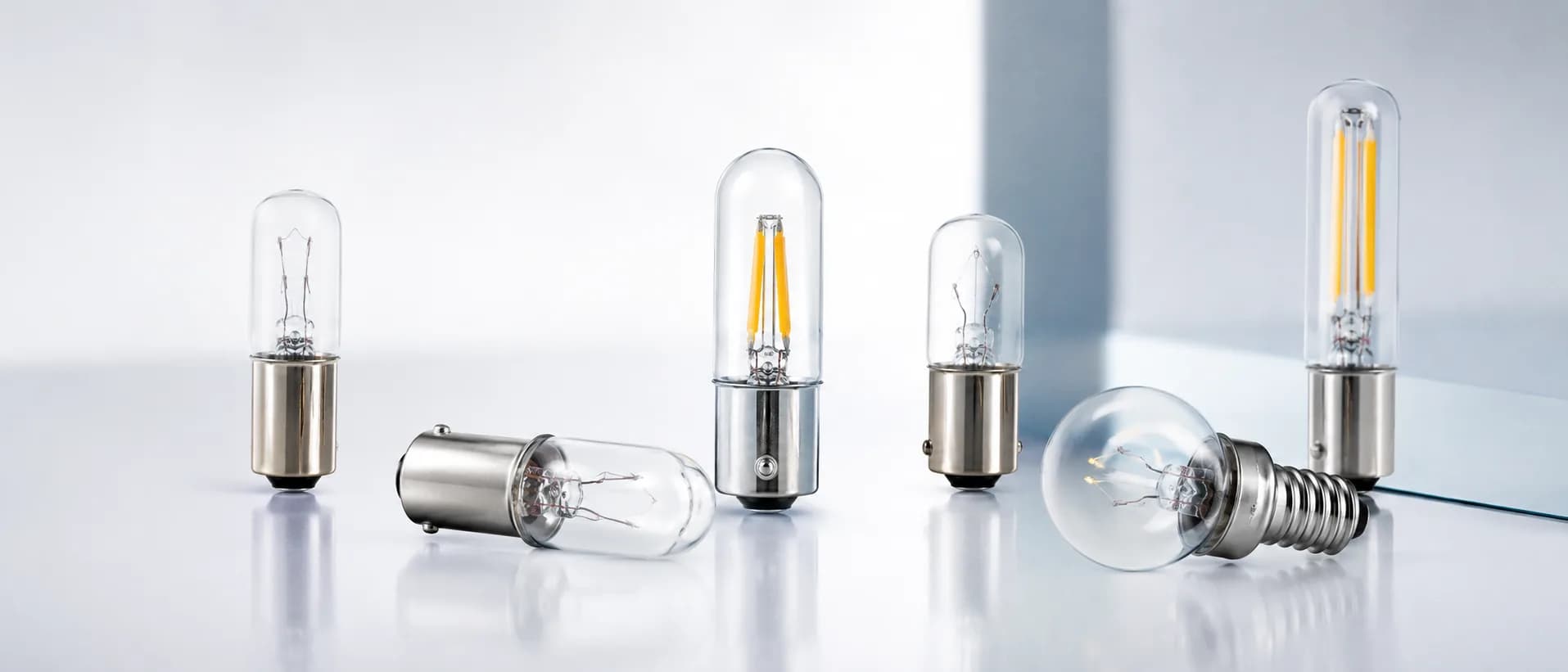 Specialty replacement bulbs arranged for product review